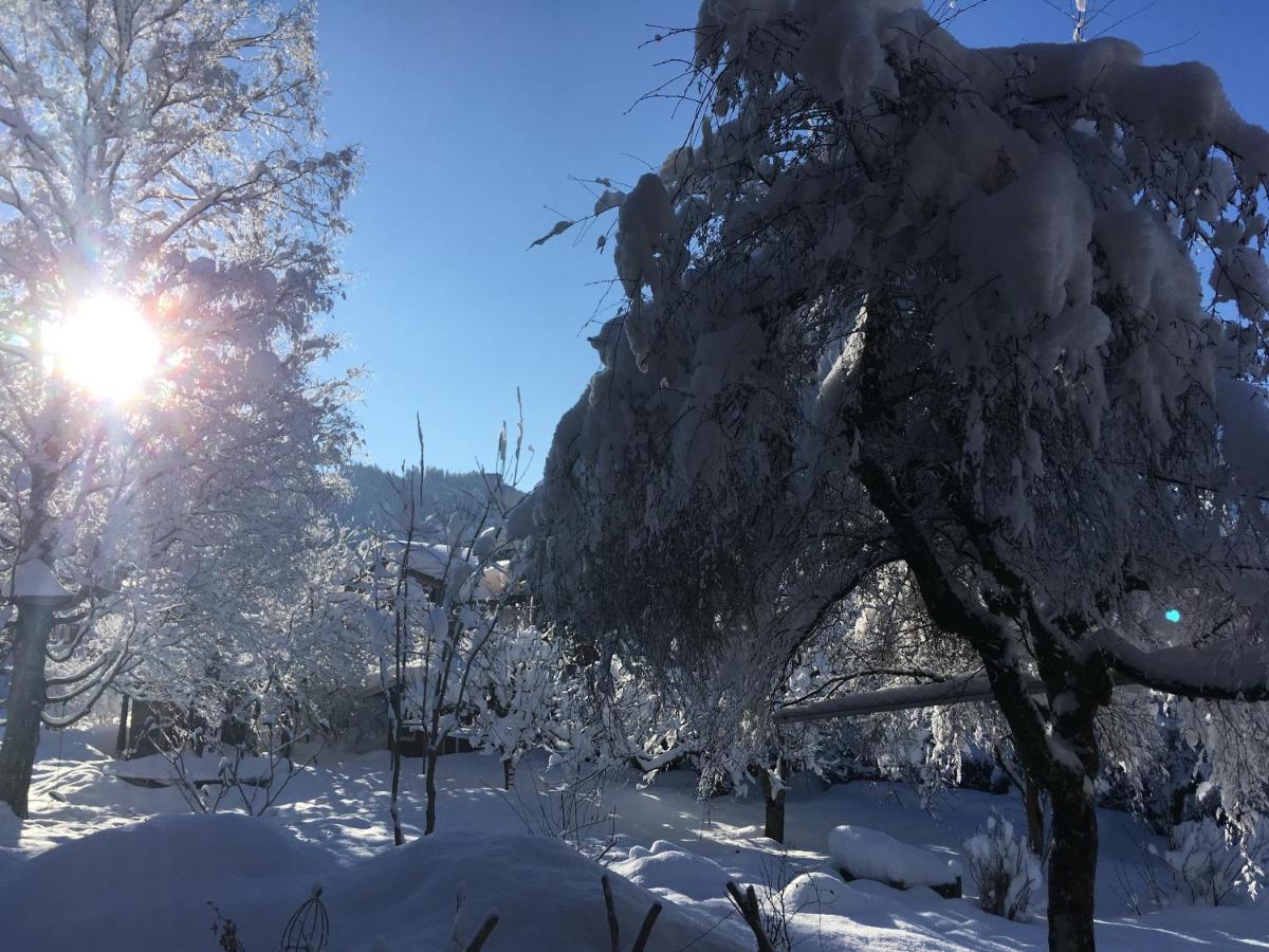 Haus Sonnenruh Appartement Bad Hindelang Buitenkant foto