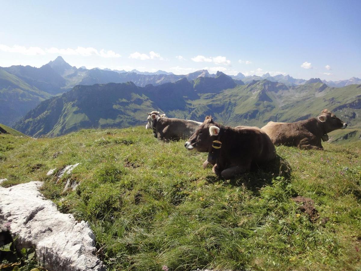 Haus Sonnenruh Appartement Bad Hindelang Buitenkant foto