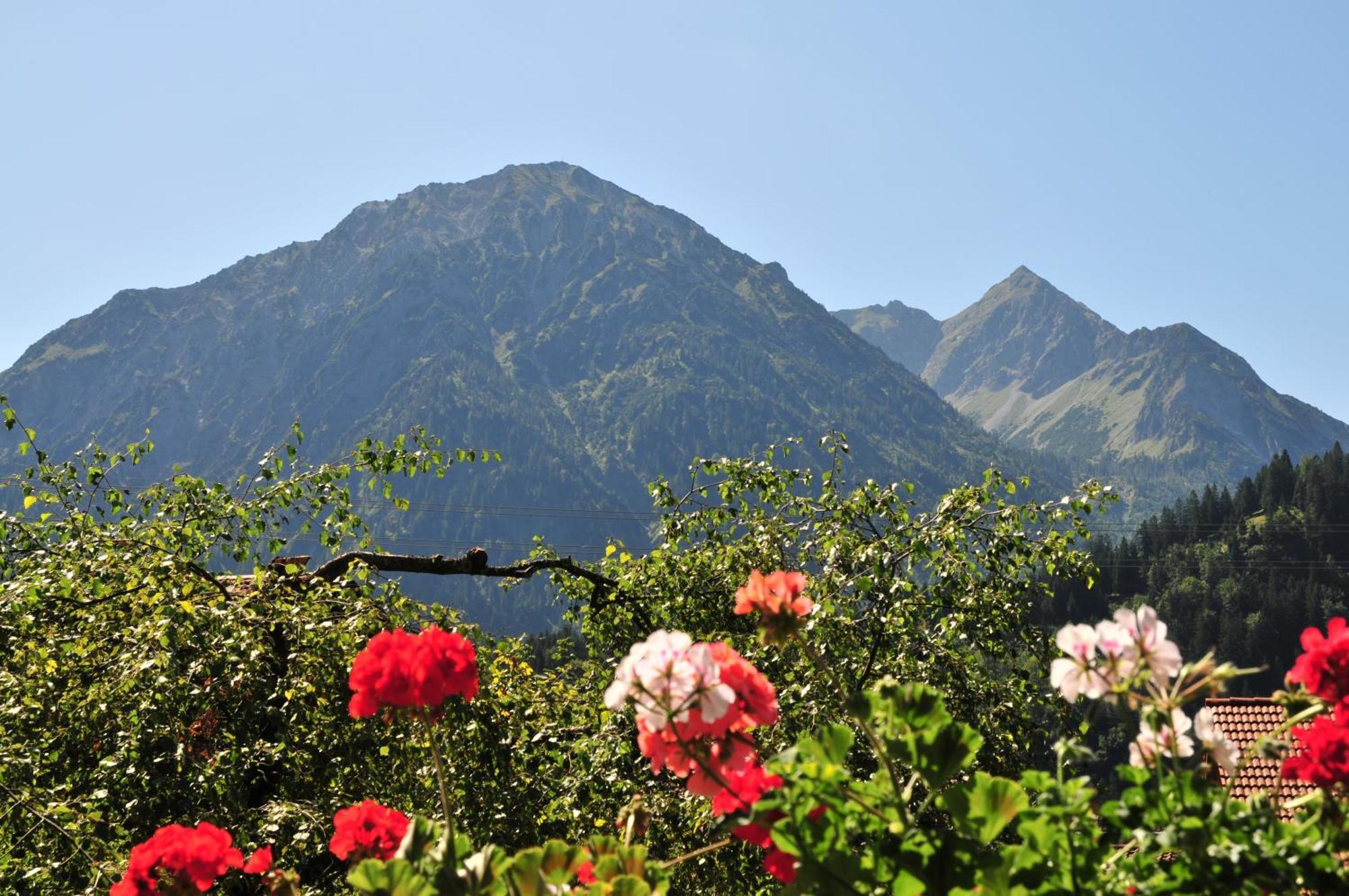 Haus Sonnenruh Appartement Bad Hindelang Buitenkant foto