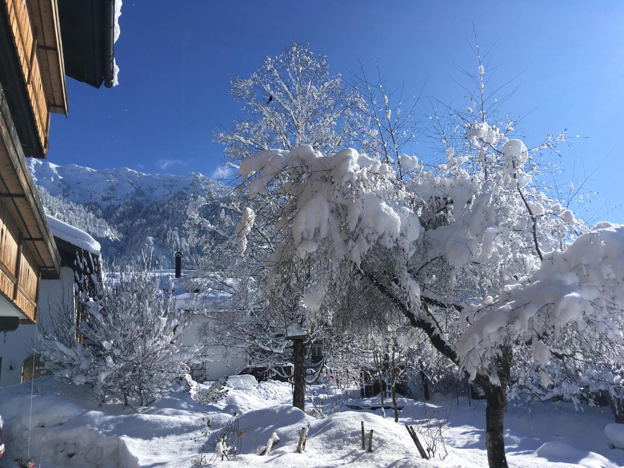 Haus Sonnenruh Appartement Bad Hindelang Buitenkant foto
