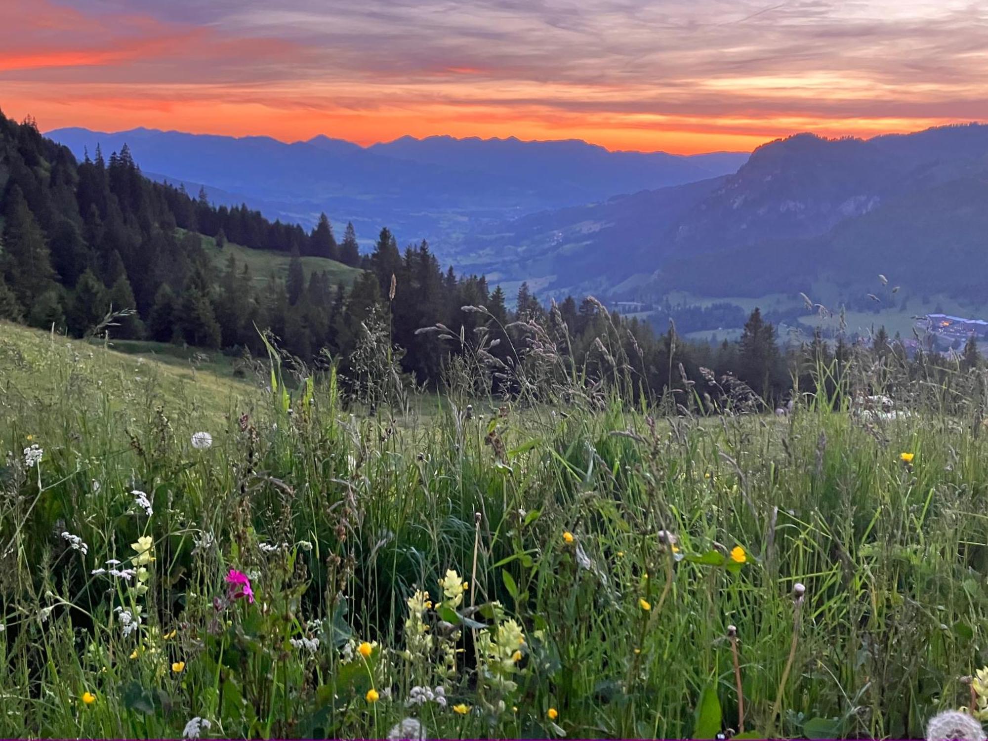 Haus Sonnenruh Appartement Bad Hindelang Buitenkant foto